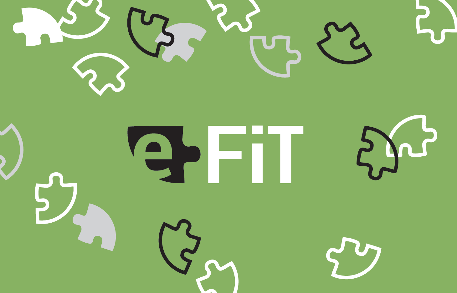 e-FiT Financial Course