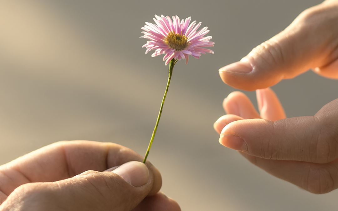 Giving and Receiving: Part 2